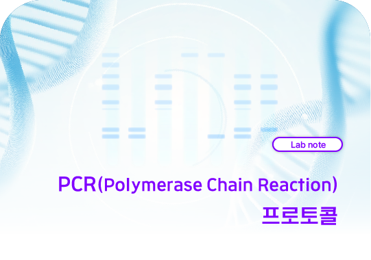 PCR(Polymerase Chain Reaction) 프로토콜