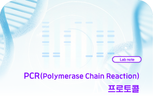 PCR(Polymerase Chain Reaction) 프로토콜