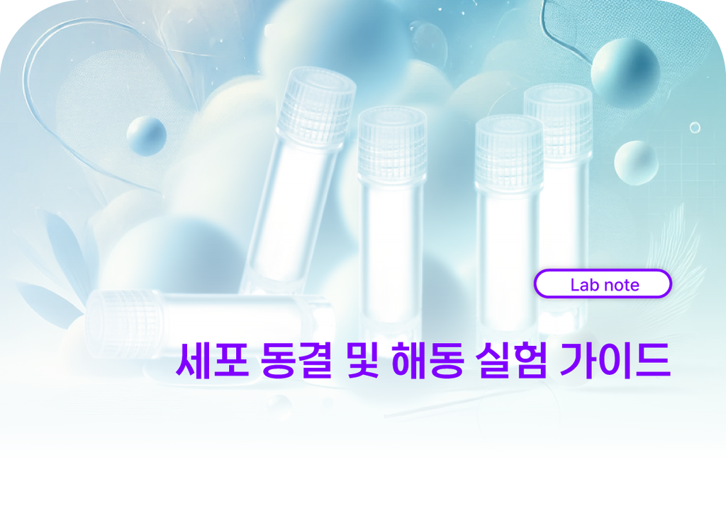 세포 동결 및 해동 실험 가이드