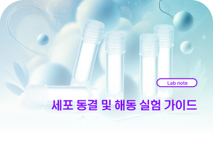 세포 동결 및 해동 실험 가이드