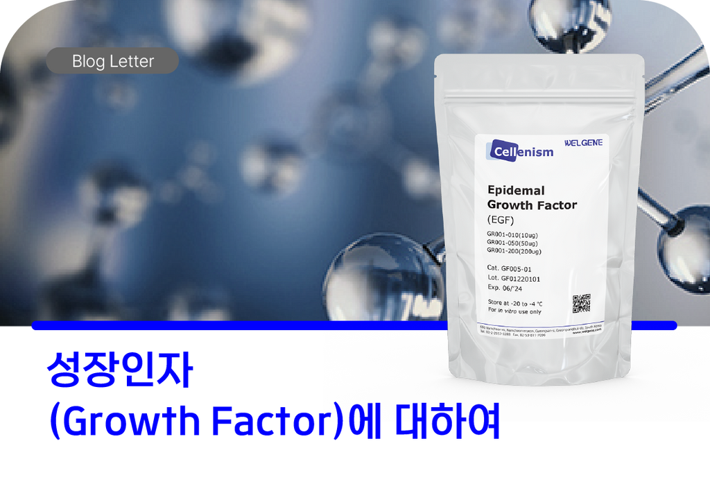 성장인자(Growth Factor)에 대하여
