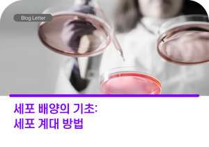 세포 배양의 기초: 세포 계대 방법