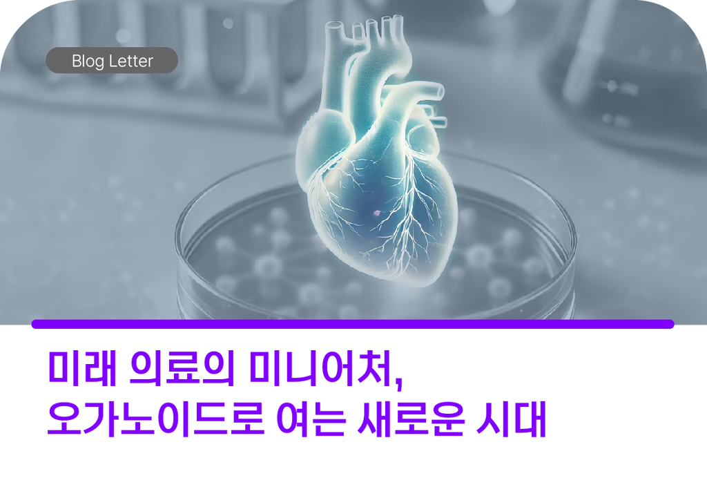 오가노이드 연구의 최신 동향과 전망