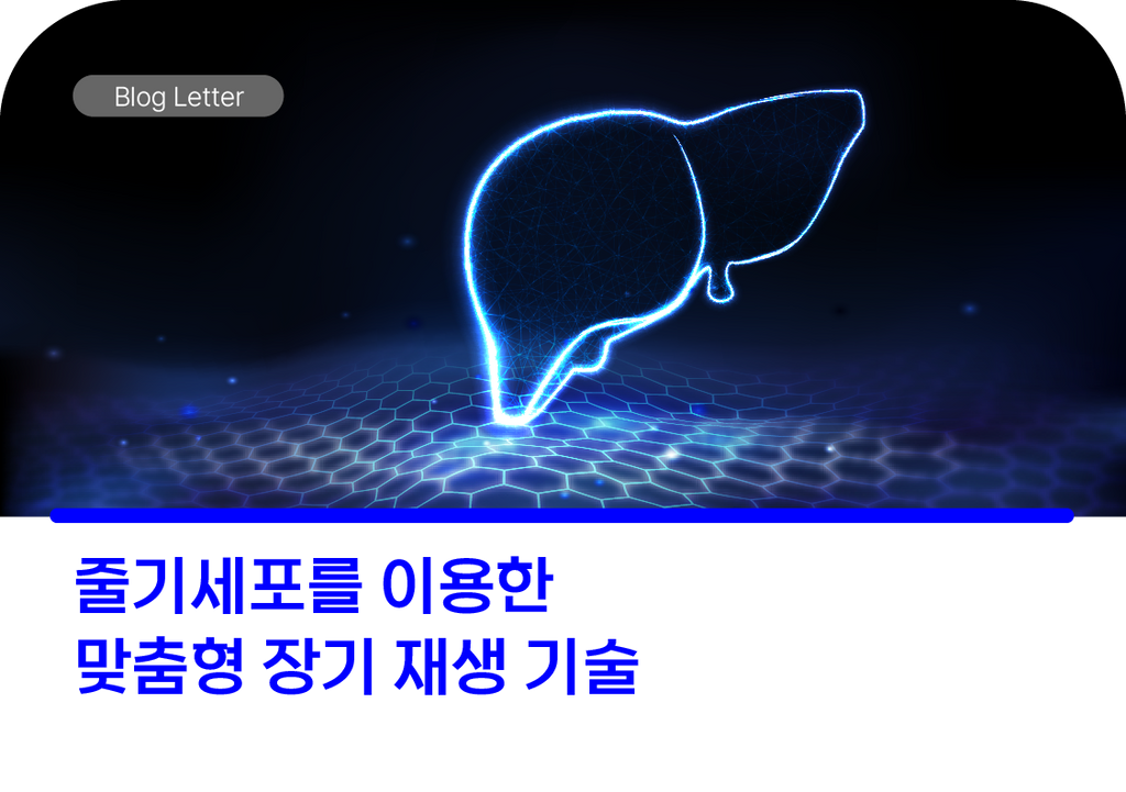 줄기세포를 이용한 맞춤형 장기 재생 기술: 미래 의료 혁명의 서막