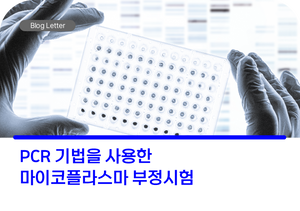 PCR 기법을 사용한 마이코플라스마(Mycoplasma) 부정시험