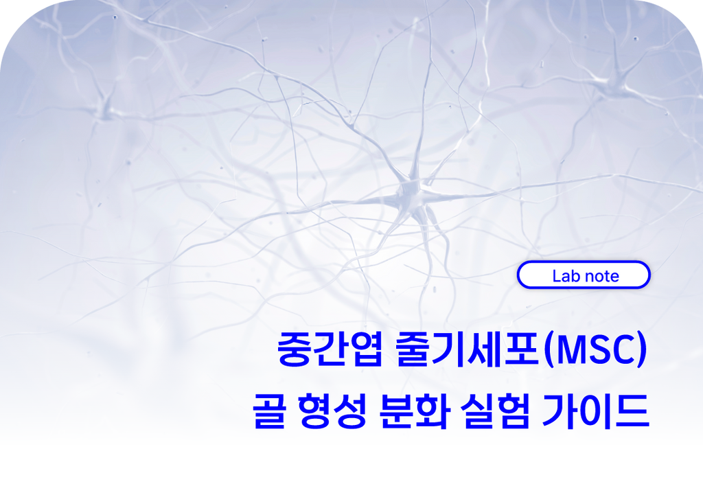 중간엽 줄기세포(MSC) 골 형성 분화 실험 가이드