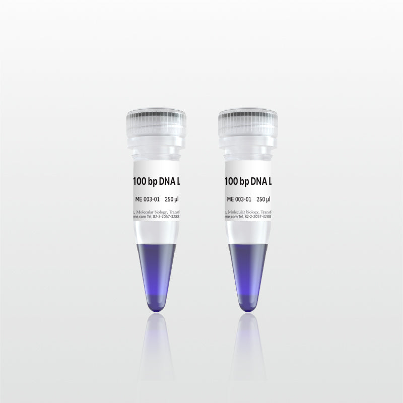 100 bp DNA Ladder (ME003-01V)