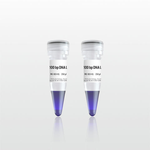 100 bp DNA Ladder (ME003-01V)