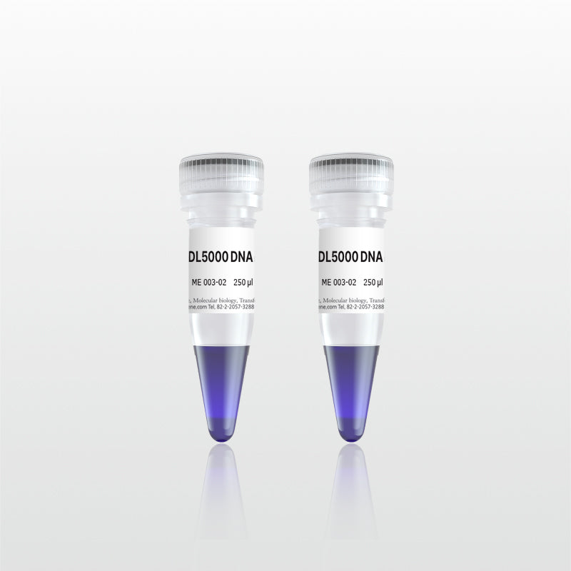 DL5000 DNA Marker (ME003-02V)