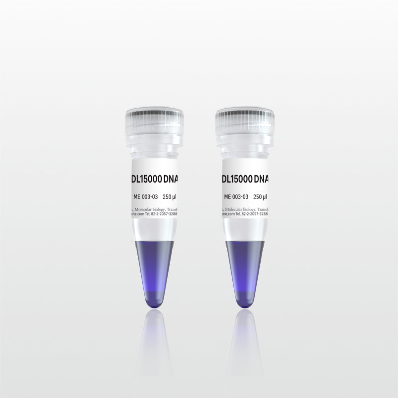 DL15000 DNA Marker (ME003-03V)
