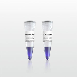 DL15000 DNA Marker (ME003-03V)