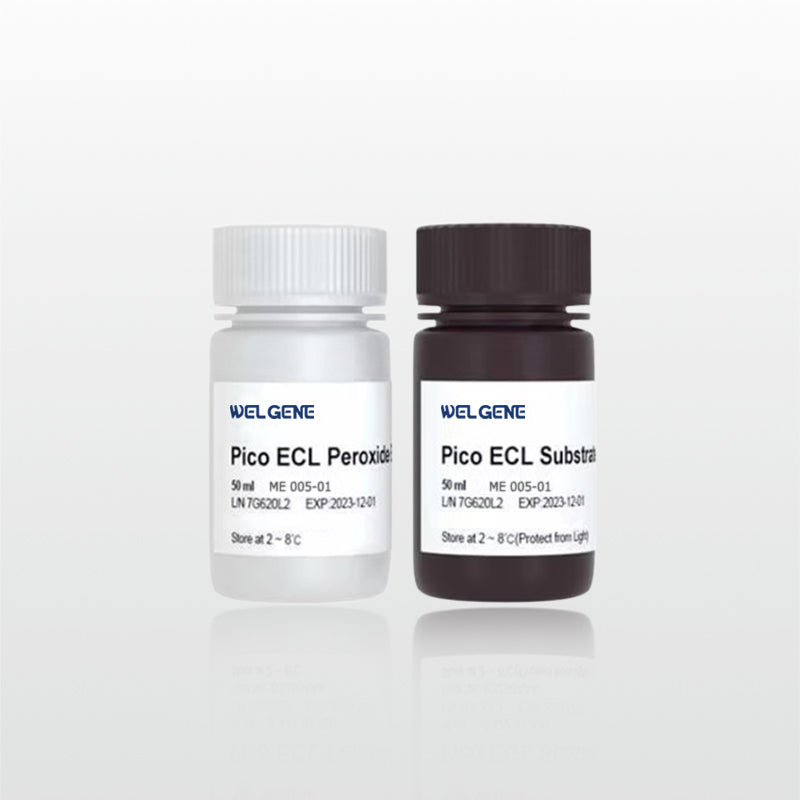 SuperPico ECL Chemiluminescence Kit (ME005-01V)