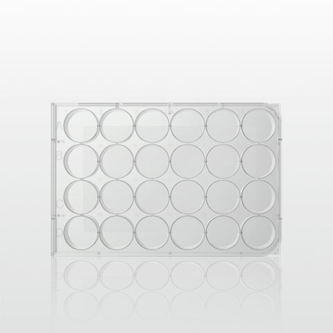 Cell culture plate 24 well (PL008-24V)