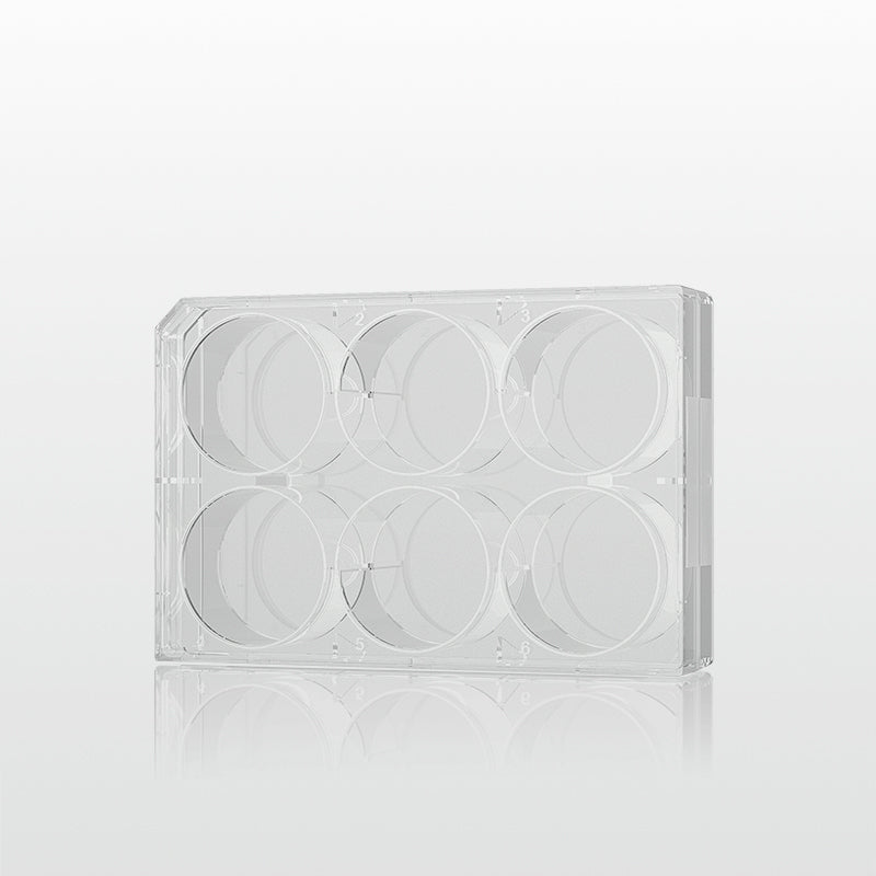 Cell culture plate 6 well (PL008-06V)