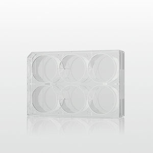 Cell culture plate 6 well (PL008-06V)