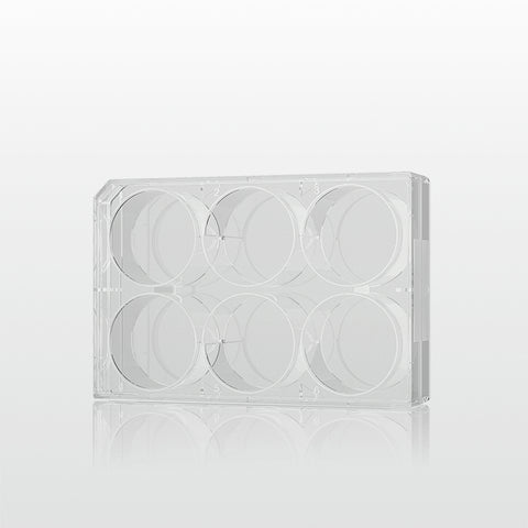 Cell culture plate 6 well (PL008-06V)