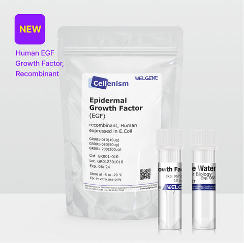 Epidermal Growth Factor (EGF) (GR001)