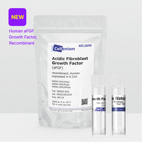Acidic Fibroblast Growth Factor (aFGF) (GR002)