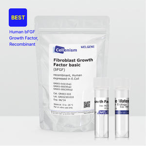 Basic Fibroblast Growth Factor (bFGF) (GR003)