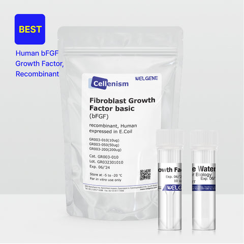 Basic Fibroblast Growth Factor (bFGF) (GR003)