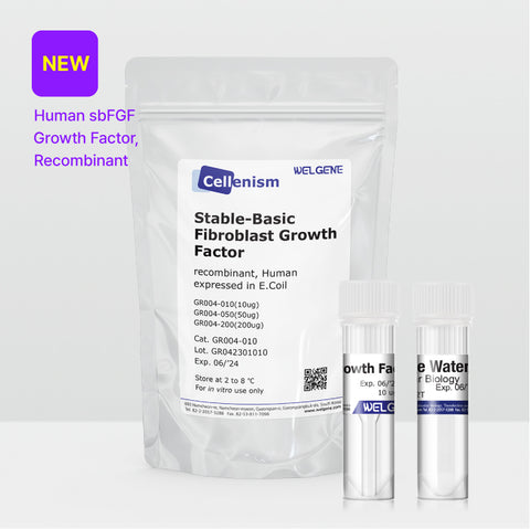 Stable-Basic Fibroblast Growth factor (GR004)