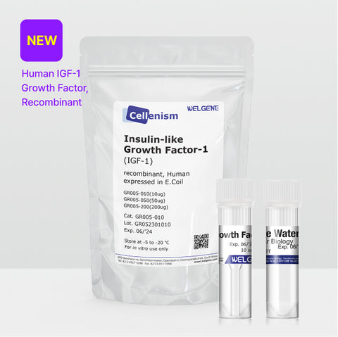 Insulin-like Growth Factor-1 (IGF-1) (GR005)