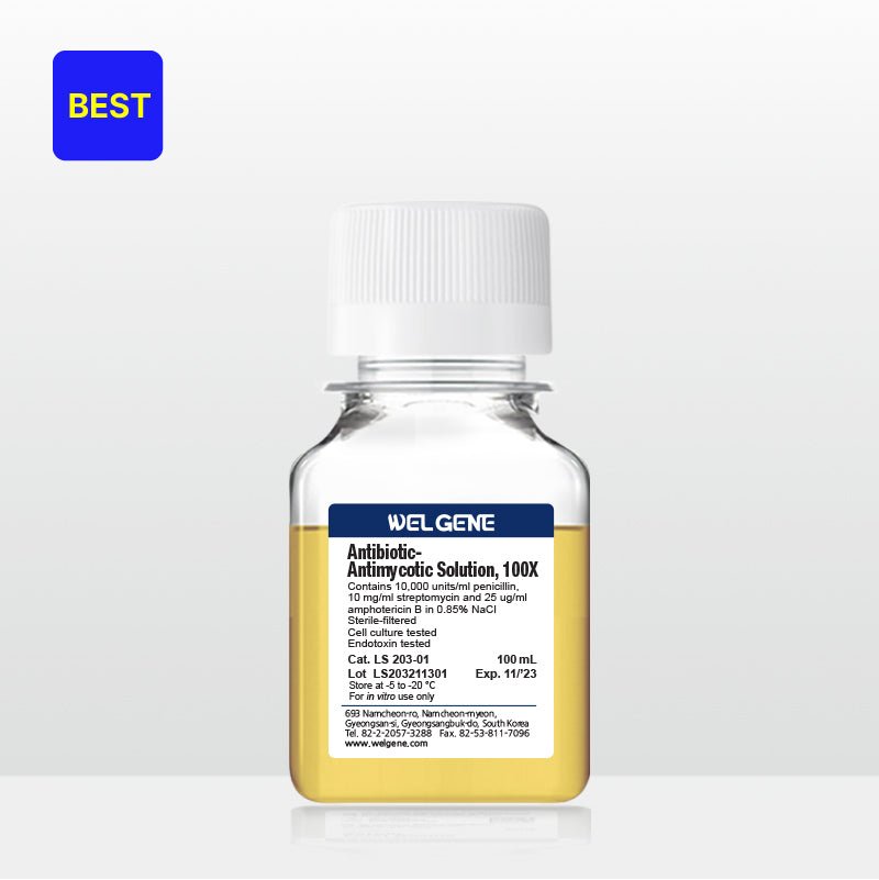 Antibiotic Antimycotic (100X), (LS203-01)