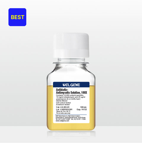 Antibiotic Antimycotic (100X), (LS203-01)