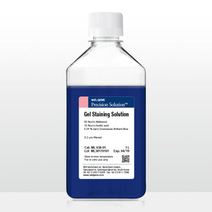 Gel Staining Solution (ML038-01)
