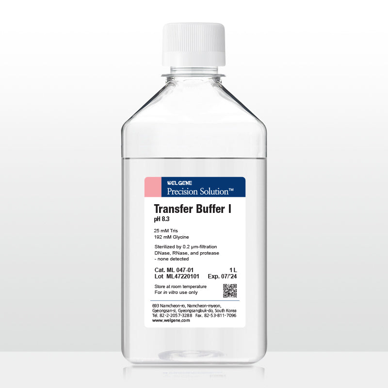 Transfer Buffer I (ML047-01)