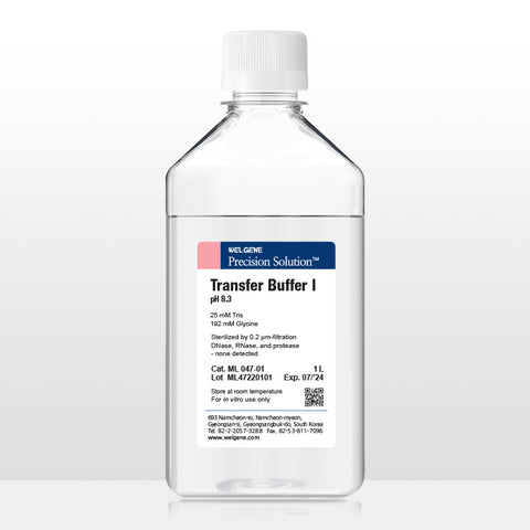 Transfer Buffer I (ML047-01)
