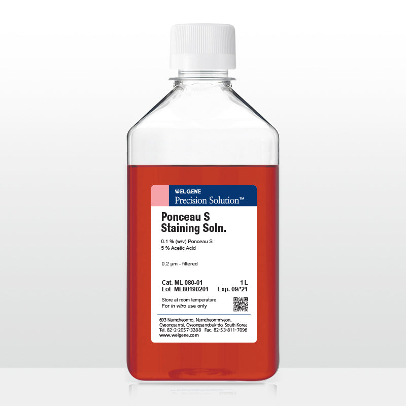 Staining Solution IV (ML080-01)