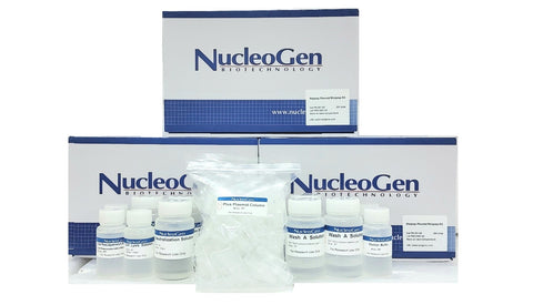 WelPrep Plasmid Miniprep Kit (PR001-02)