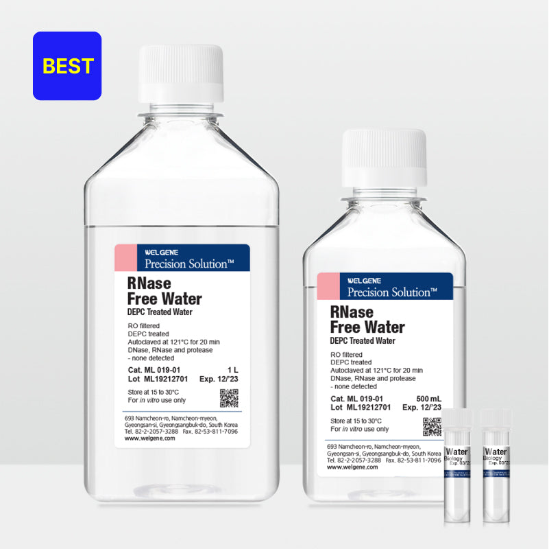 RNase Free Water (ML019-01)