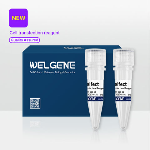 WelFect Transfection Reagent (TR006-01)