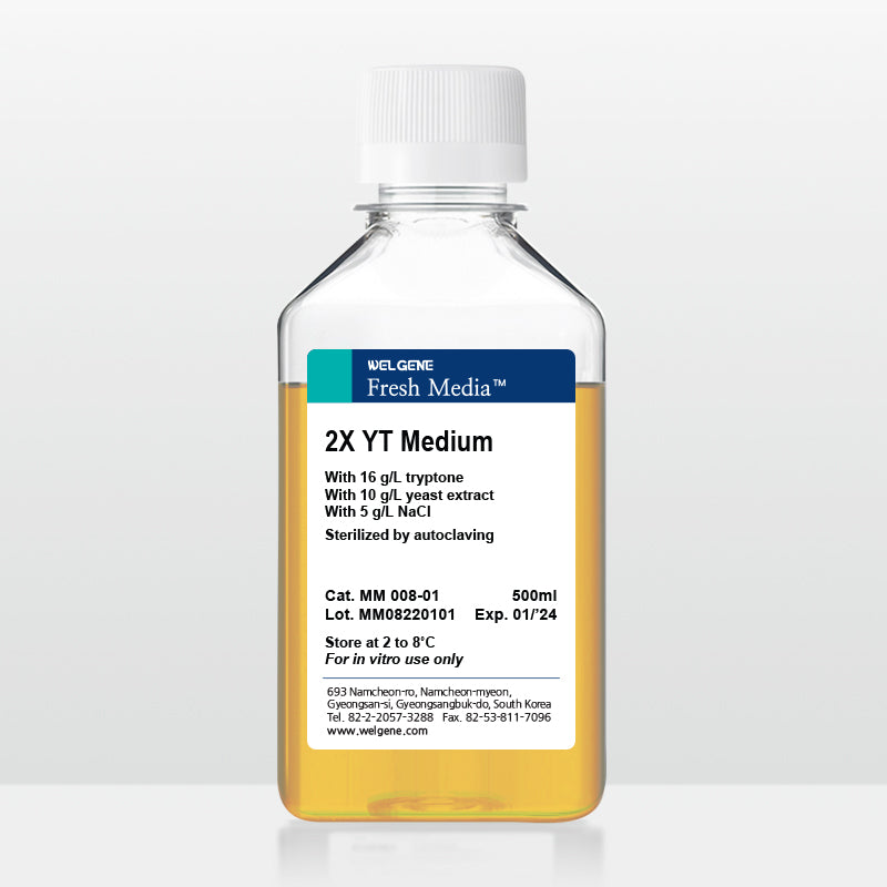 2X YT (MM008-01)
