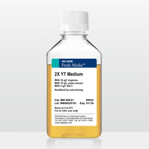 2X YT (MM008-01)