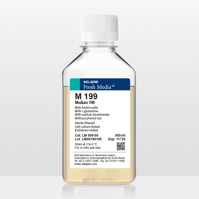 M199 Meidum 199 (LM006-05)