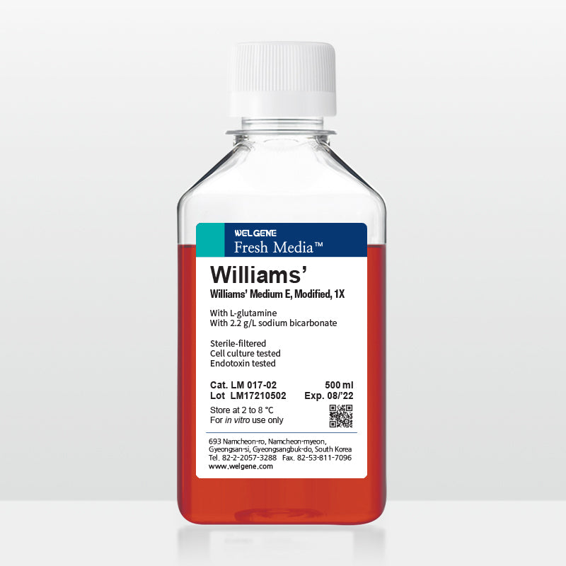 William's medium (LM017-02)