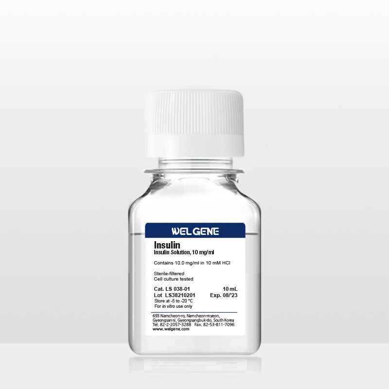 Insulin solution (10 mg/ml), (LS038-01)