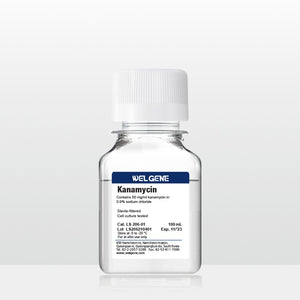 Kanamycin Solution (50 mg/ml), (LS206-01)