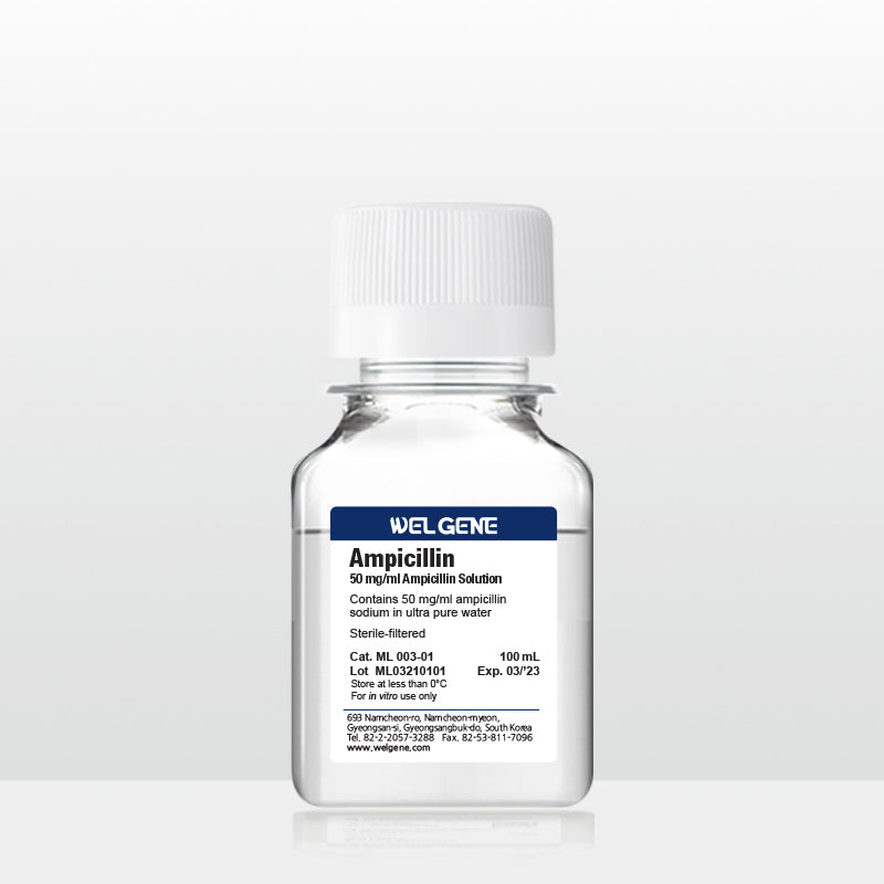 Ampicillin (50 mg/ml), (ML003-01)