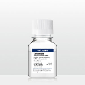 Gentamicin (10 mg/ml), (ML003-03)
