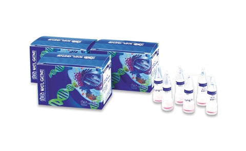 Sample Loading Buffer(2X), (ML031-01)